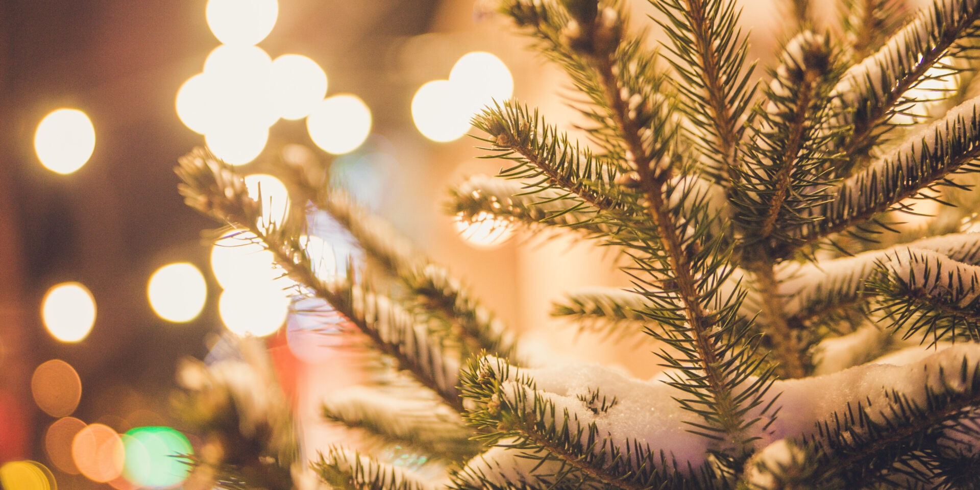 Kerstboom en kerstverlichting